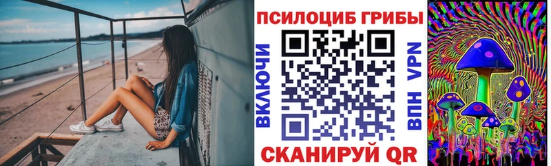 гидра ТОР  Красноуфимск  Псилоцибиновые грибы Psilocybine cubensis 