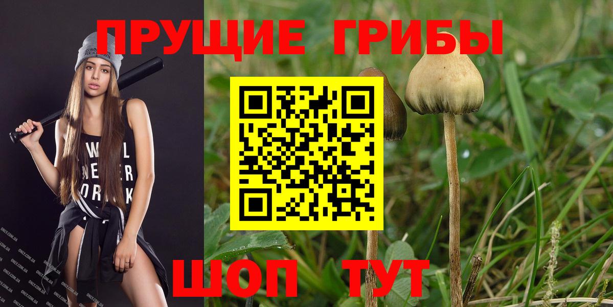 Галлюциногенные грибы MAGIC MUSHROOMS Красноуфимск